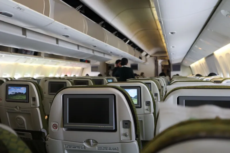 Six Inches of Pure Chaos: The Armrest Standoff Nobody Knows How to Win